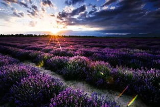 逃離長(zhǎng)沙的鬼天氣 7月份中國(guó)最美的風(fēng)光都在這啦