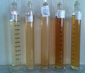 新疆理化所 高端酯類系列潤滑油研制 項(xiàng)目通過驗(yàn)收