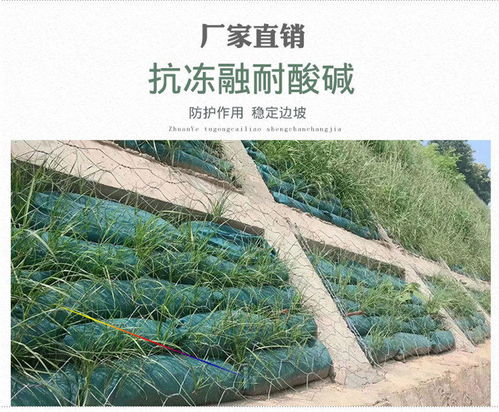 探索新疆烏魯木齊環(huán)保生態(tài)袋的價(jià)格與價(jià)值