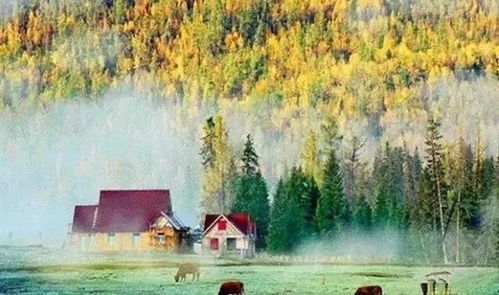 新疆15處美景上榜，生態(tài)保護與旅游發(fā)展相得益彰