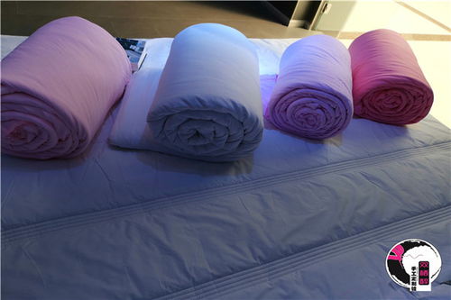 雙棲醉手工棉花被 來自新疆的成都高級環(huán)保棉被