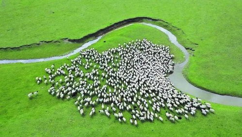 新疆 以環(huán)保為基，升級設(shè)施與服務，打造高品質(zhì)旅游新名片