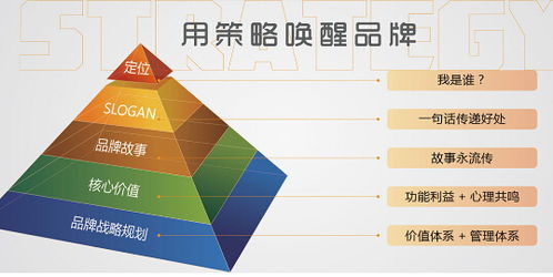 品牌全案公司的核心服務(wù) 從品牌策劃到數(shù)字文化創(chuàng)意內(nèi)容應(yīng)用